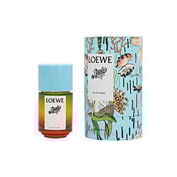 LOEWE PAULA'S IBIZA by Loewe - EDT SPRAY 1.7 OZ