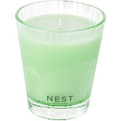 NEST CUCUMBER & WHITE SAGE by Nest - SCENTED CANDLE 8.1 OZ