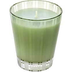 NEST WILD MINT & EUCALYPTUS by Nest - SCENTED CANDLE 8.1 OZ