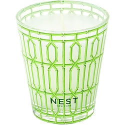 NEST BAMBOO by Nest - DECORATIVE SCENTED CANDLE 8.1 OZ